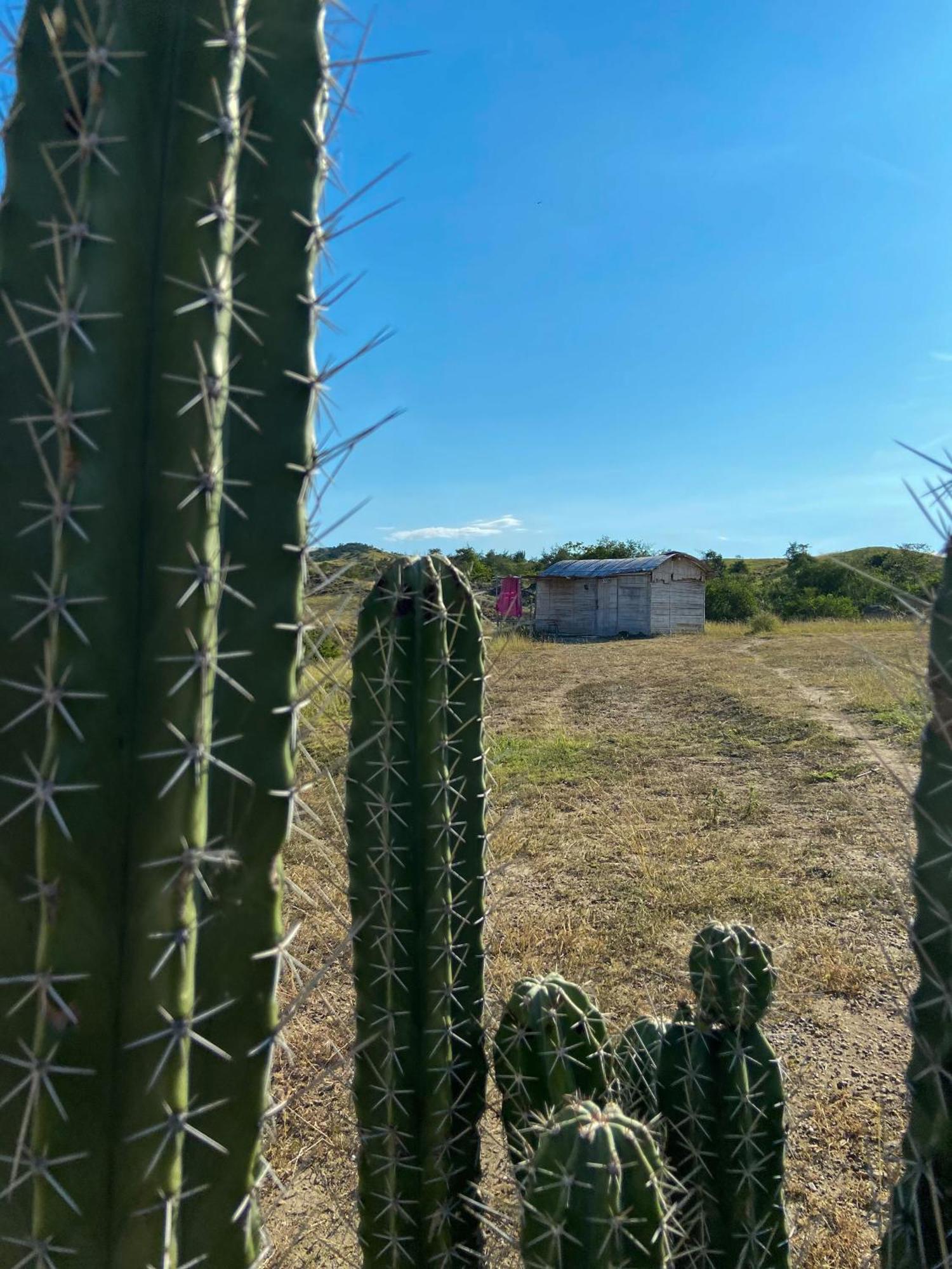 Qji Glamping biohotel Villavieja Exteriér fotografie